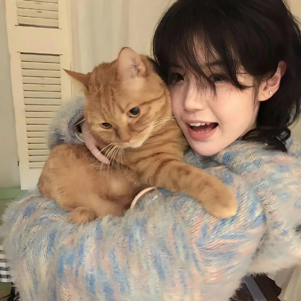 犬夜叉:红莲之蓬莱岛