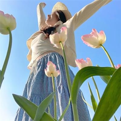我的英雄学院第六季