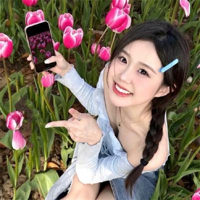 光荣之路上的狗
