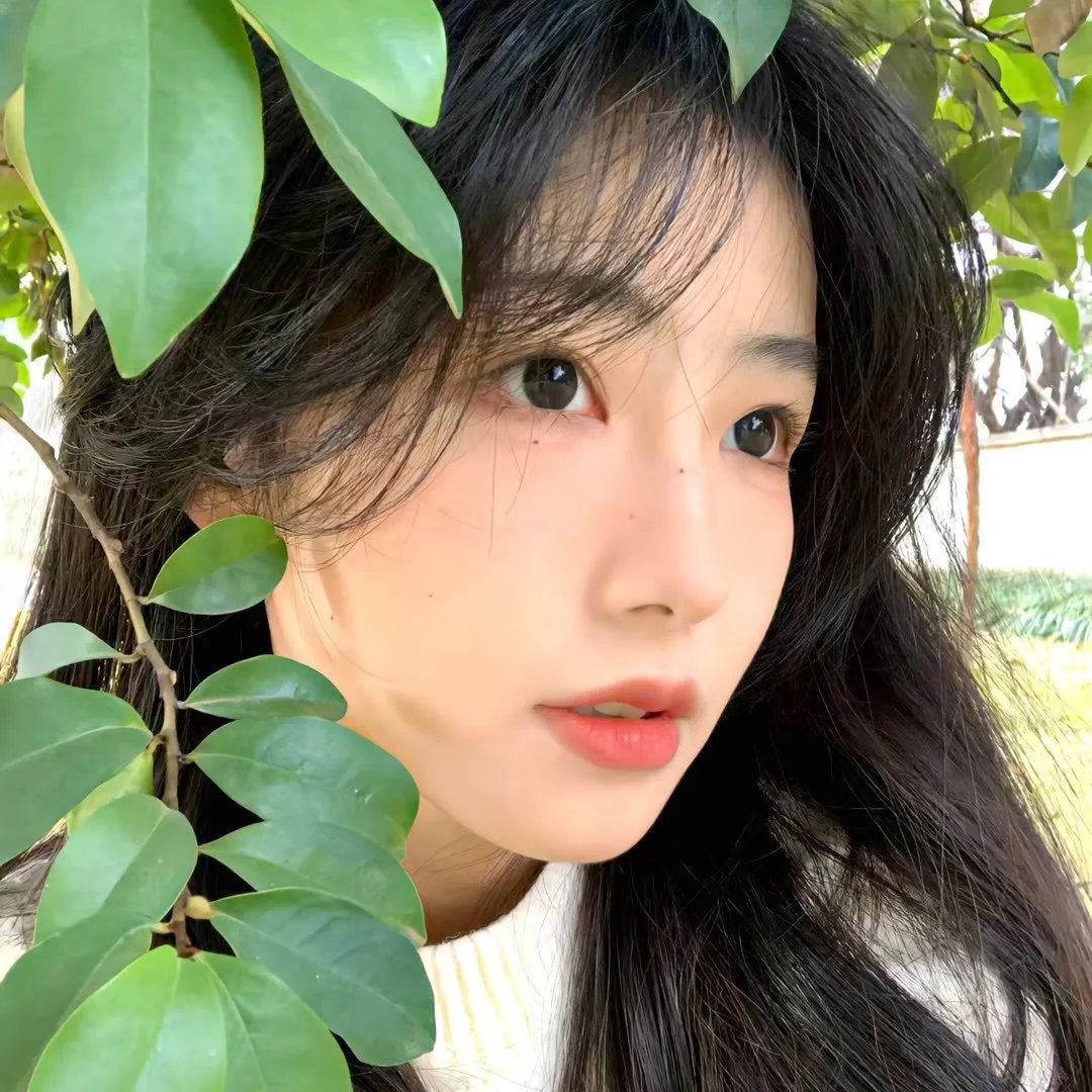 异种3
